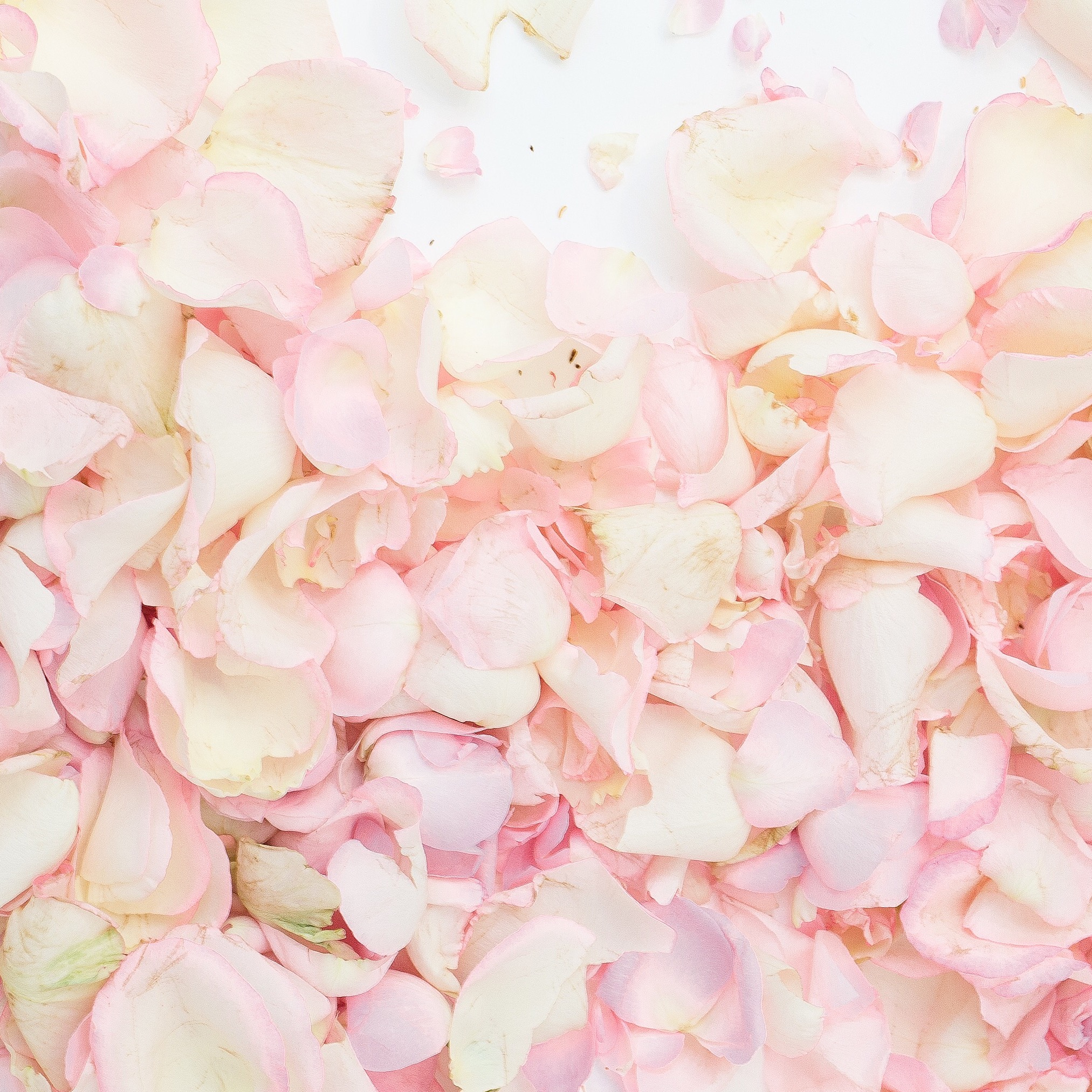 Read more about the article Blooming inspiration