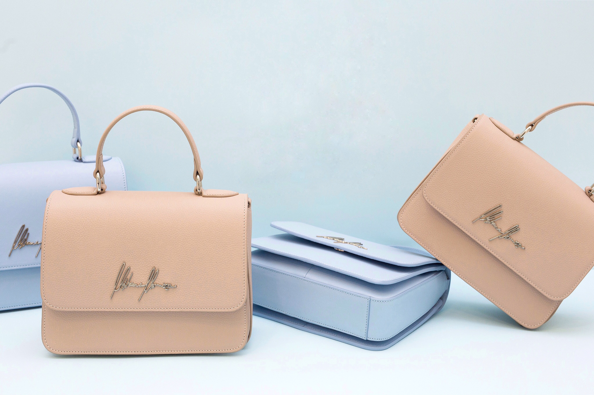 Read more about the article Olya Bag