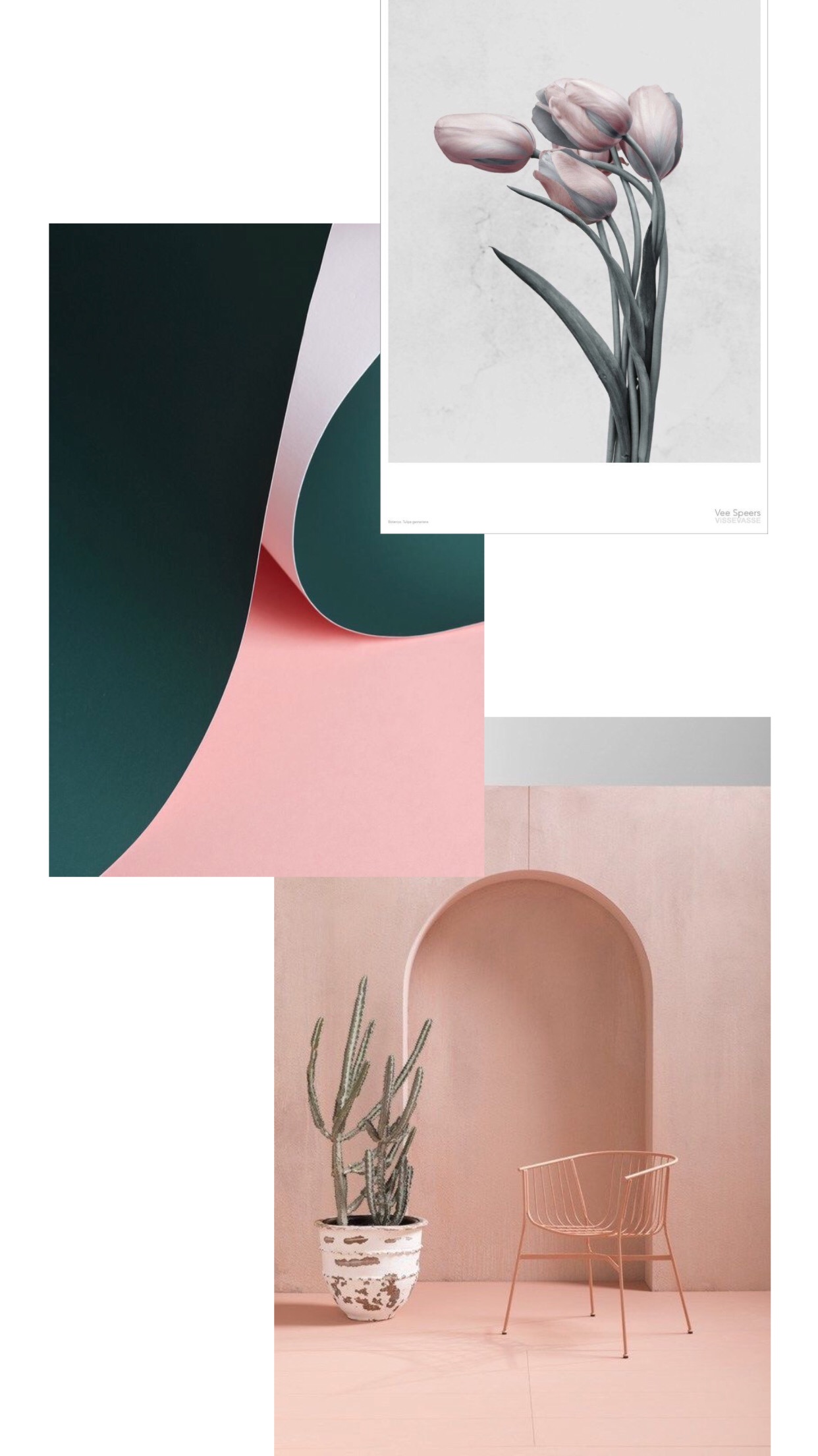 Read more about the article MOODBOARD AND INSPIRATION